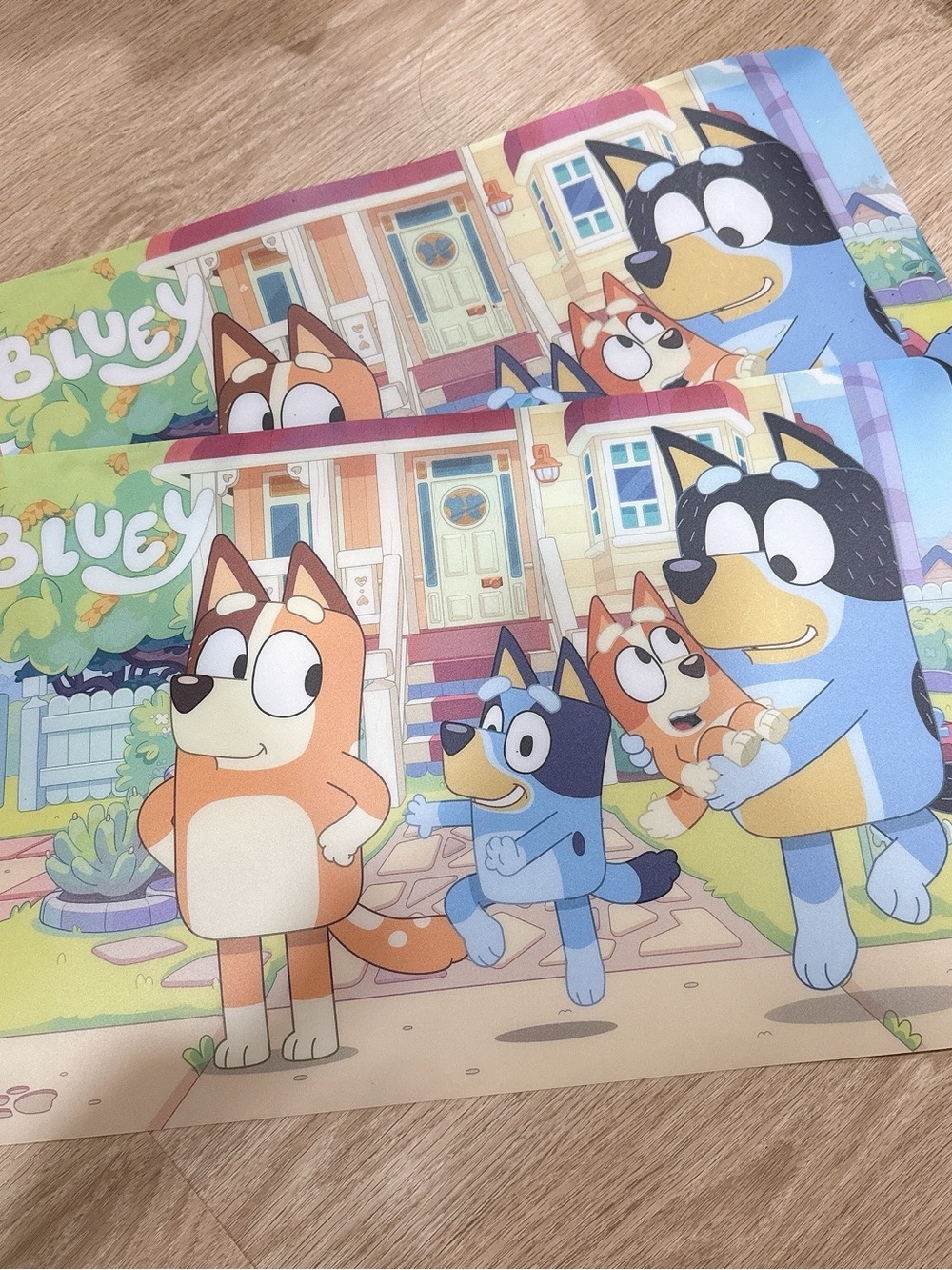 Bluey Placemat Set of 2
